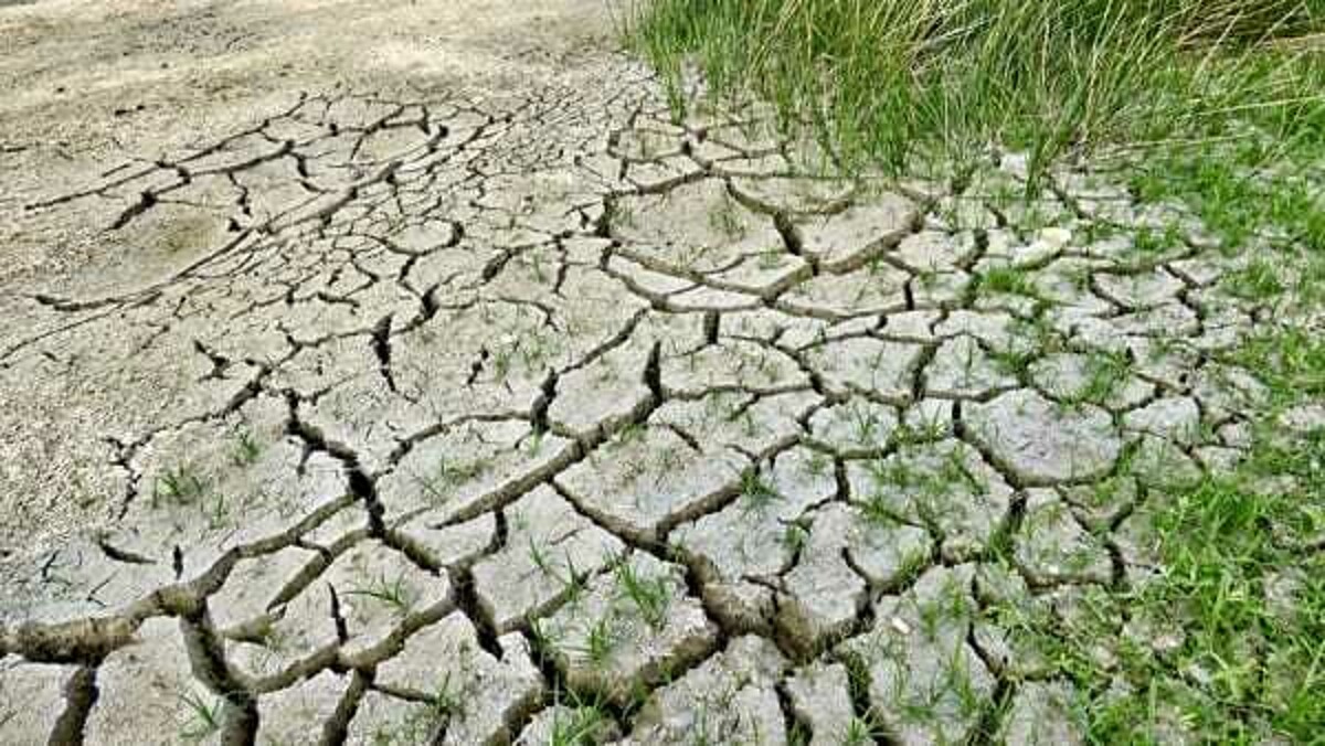 Immagine del post 3672 - Bari Crisi idrica in Puglia, il piano per l'emergenza: "Necessari 1,3 miliardi" - Bari