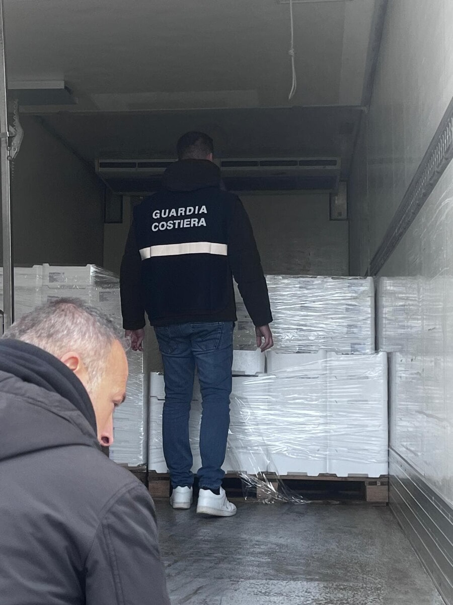 Immagine del post 1893 - Bari Pesce azzurro senza tracciabilità, sequestro da 270 kg nel Barese - Bari