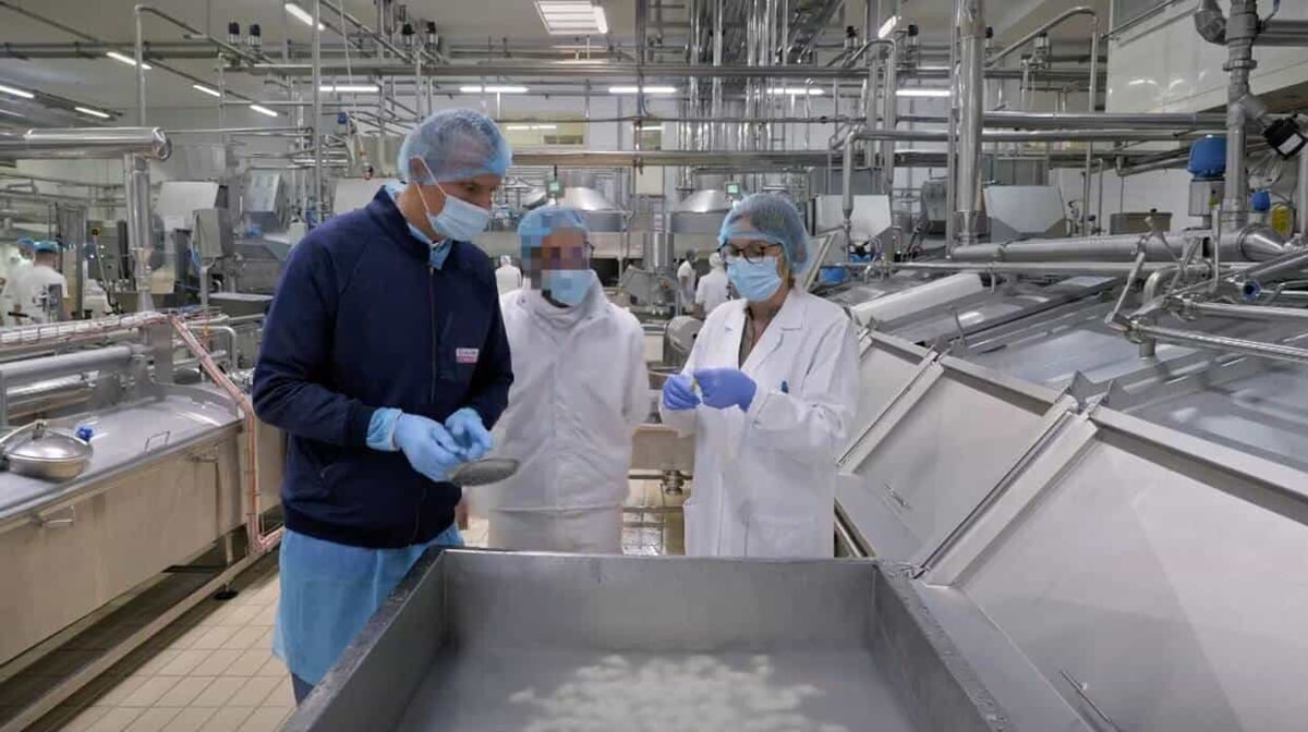 Mozzarelle e burrate certificate, controlli Asl sui prodotti baresi: "In un anno 4800 autorizzazioni per l'export" - Bari