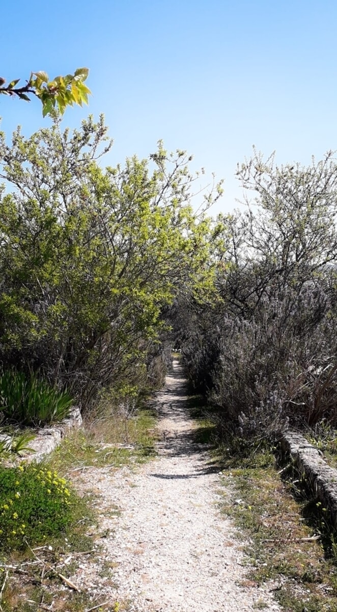 Immagine del post 5808 - Bari Gravina archeologica: sulle tracce dell’antica Silvium - Bari