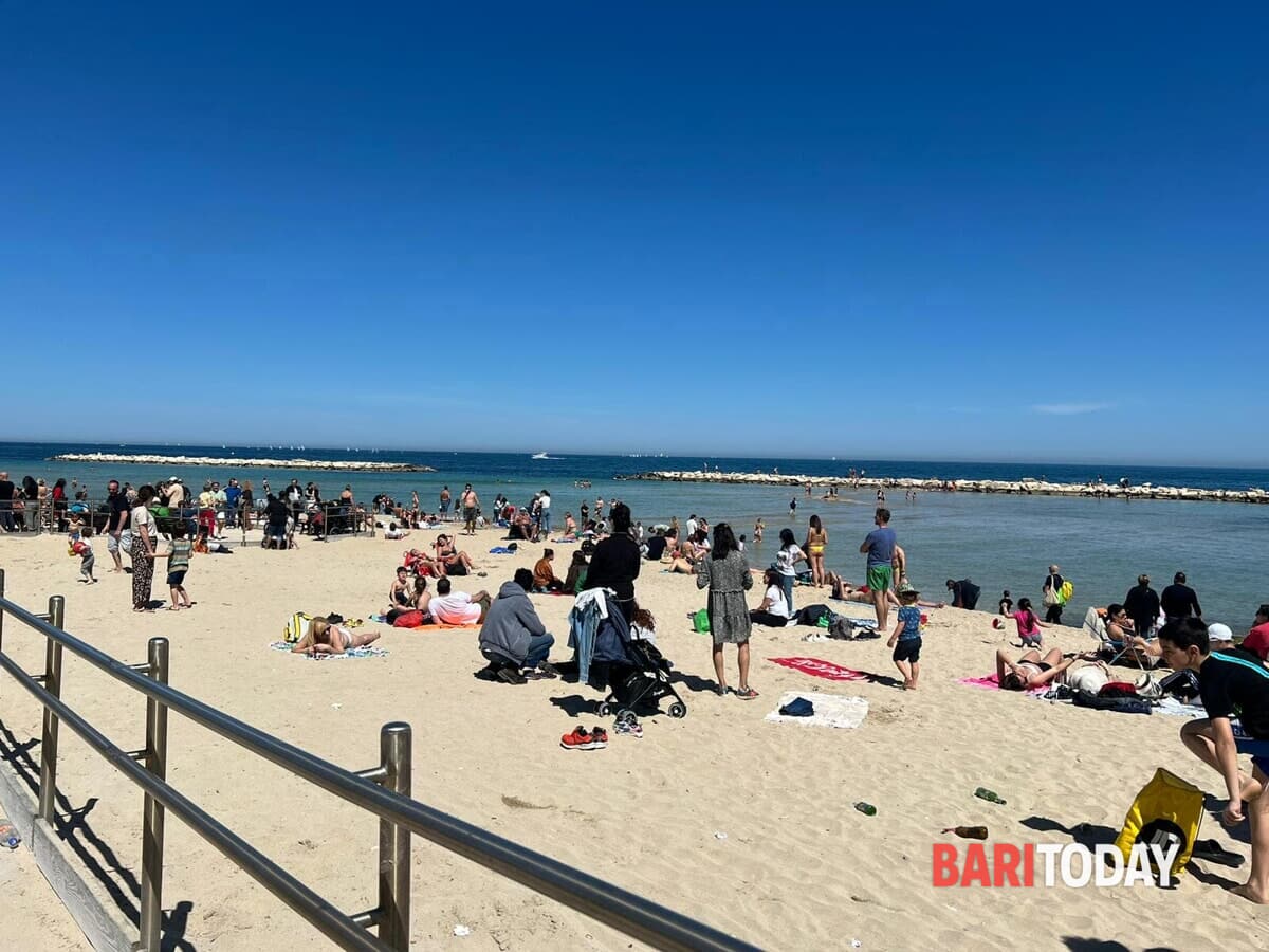 Immagine del post 3911 - Bari Come sta cambiando Bari: come le trasformazioni sociali e demografiche plasmano il futuro della città - Bari