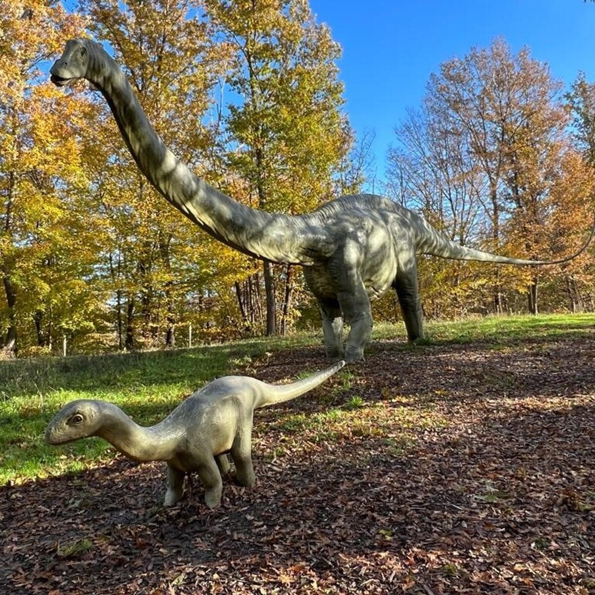 Immagine del post 5953 - Bari I Dinosauri tornano in Puglia: la mostra a grandezza naturale con i giganti della preistoria a Cassano delle Murge - Bari