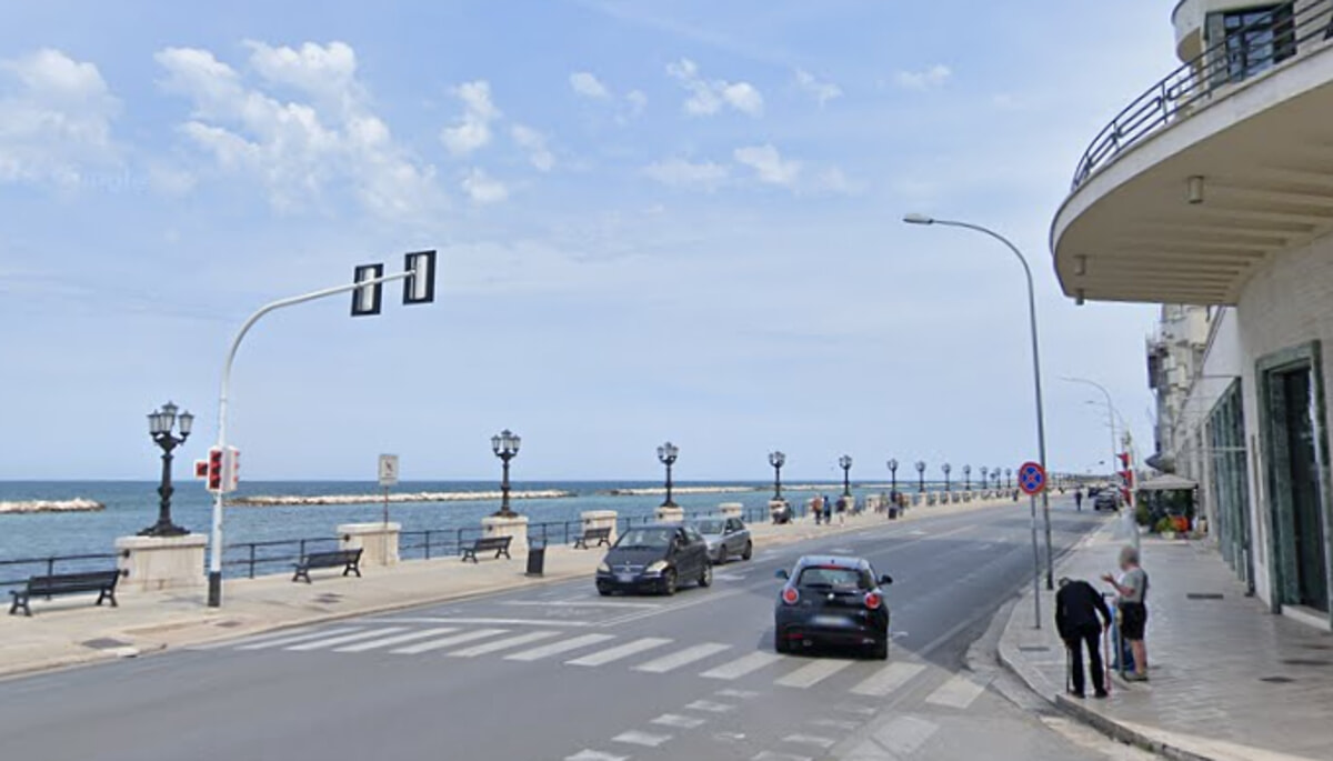 Immagine del post 2172 - Bari Cagnolino senza vita sul lungomare, il ritrovamento a Bari: identificata la proprietaria - Bari
