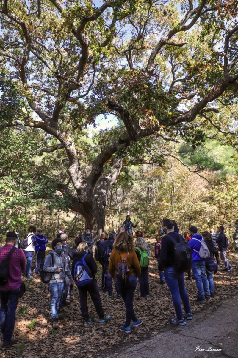 Puglia archeotrekking – tra querce ed eremi - Bari