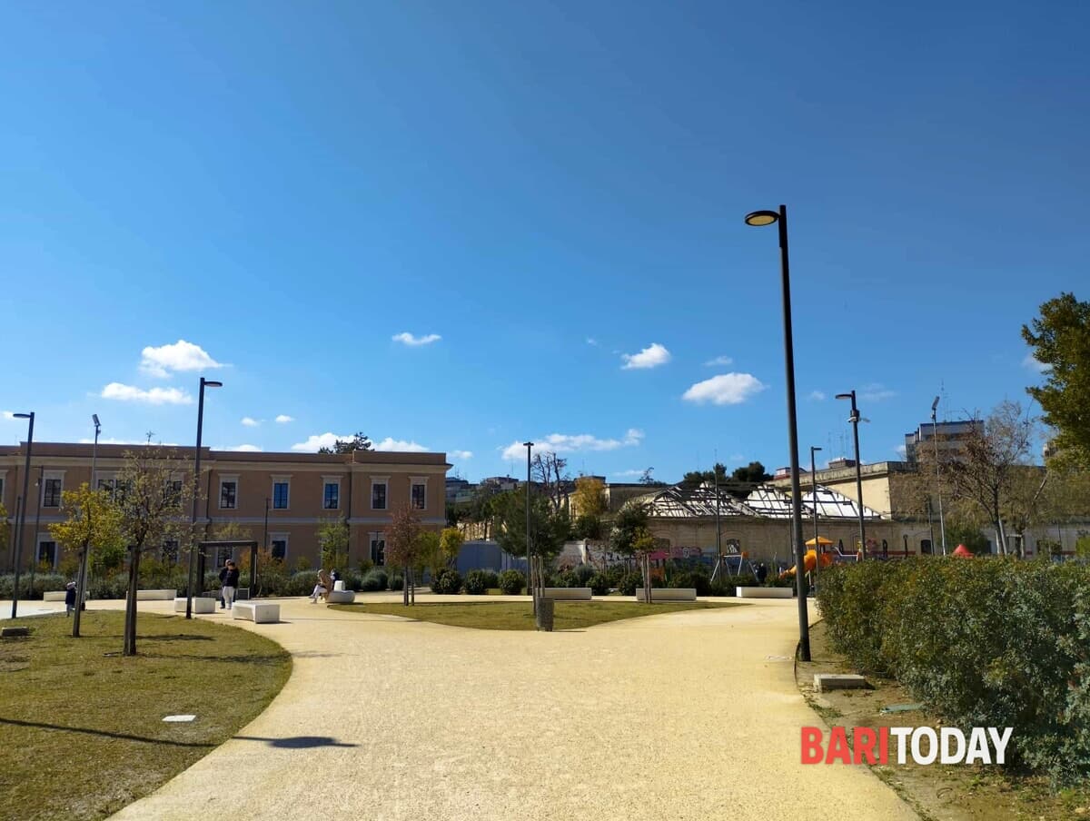 Immagine del post 6042 - Bari Domeniche dello Sport e del Benessere, al via il bando nel Municipio II: "Cinque eventi in programma" - Bari