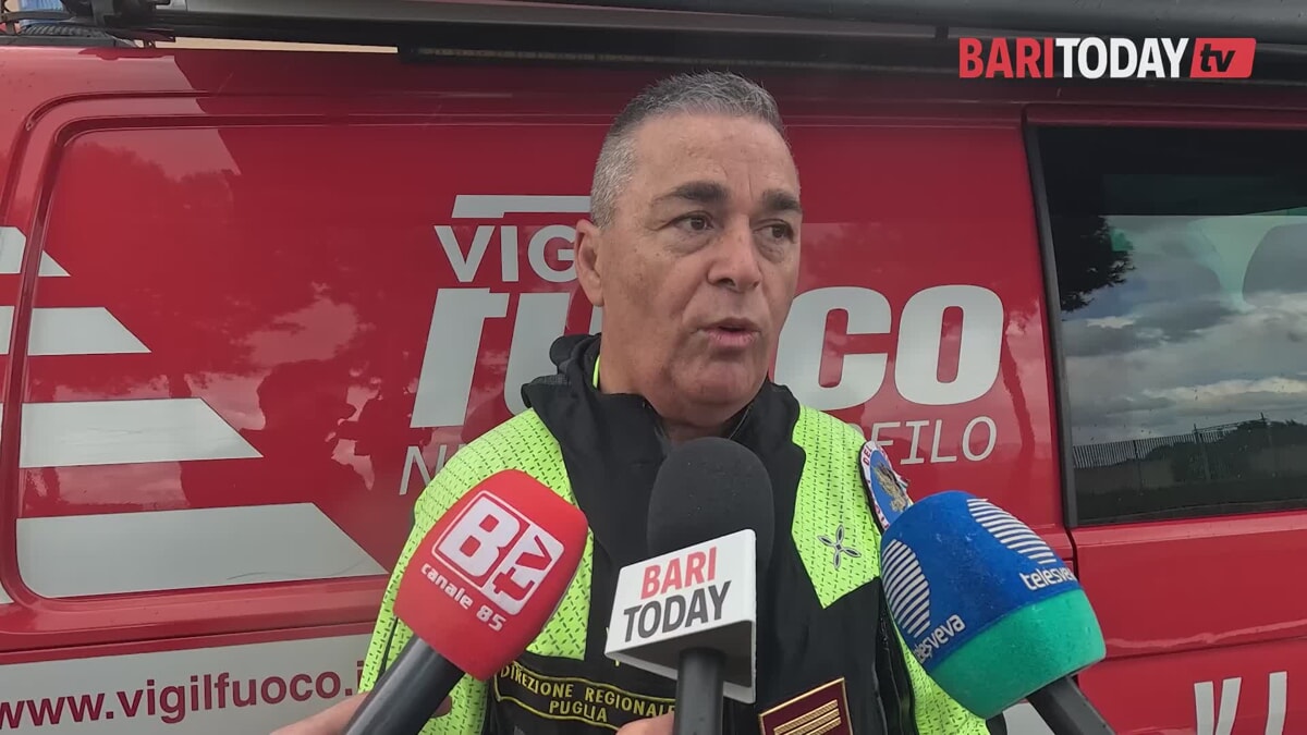 Immagine del post 4168 - Bari Specializzati nelle ricerche di persone tra le macerie: così i cani dei vigili del fuoco ritrovano i dispersi - Bari