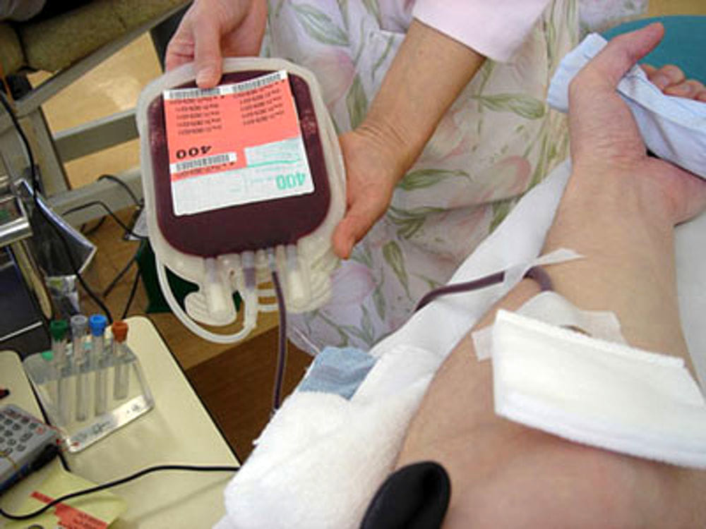 Policlinico di Bari, nessuna carenza di sangue nel Centro Trasfusionale: "Smentito allarme circolato in chat private" - Bari