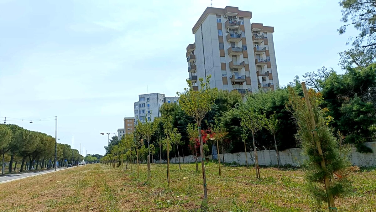 Immagine del post 2865 - Bari A Bari il progetto 'Design my space': studenti protagonisti della riqualificazione urbana - Bari