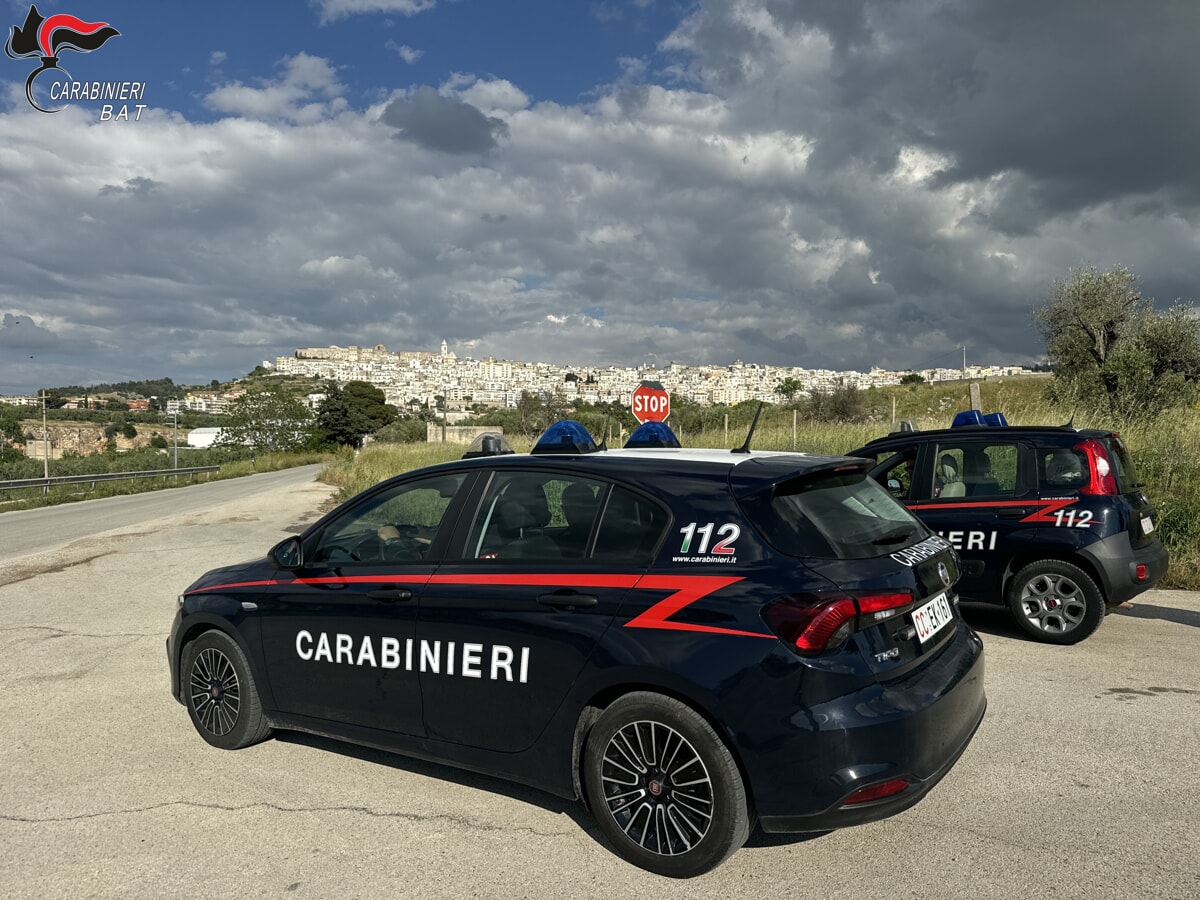 Immagine del post 2889 - Bari Minacce a pubblici ufficiali di Bari e Minervino Murge, in manette un 46enne - Bari