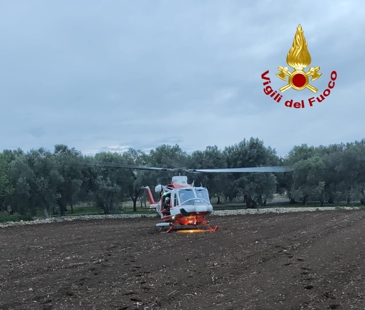 In campagna per raccogliere asparagi, ma perde l'orientamento: anziano soccorso dai vigili del fuoco - Bari