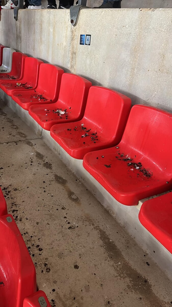 Immagine del post 1147 - Bari Seggiolini sporchi e bagni impraticabili: i disservizi dello stadio San Nicola in audizione al Comune - Bari