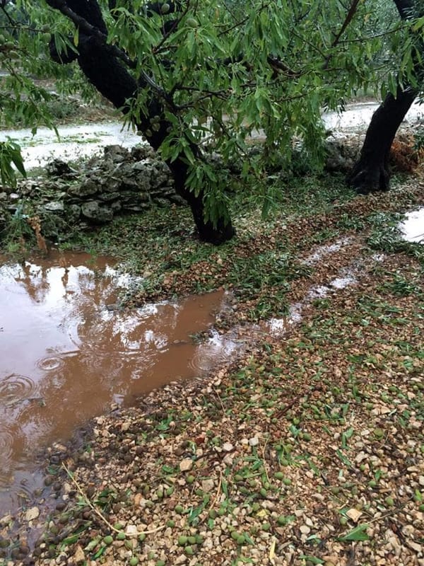 Immagine del post 5033 - Bari Maltempo sulla Puglia, rischio pioggia sulla Murgia Barese - Bari