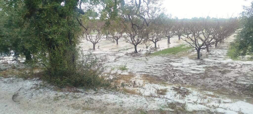 Maltempo nel Metapontino: “criticità rilevanti” - Basilicata