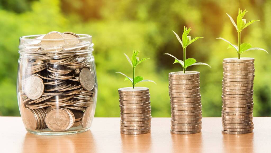 Agricoltura lucana sotto scacco: “la trappola del credito” - Basilicata