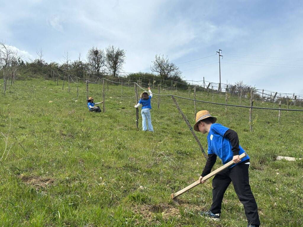 Immagine del post 6727 - Basilicata Scuola, gli alunni e le alunne della Busciolano di San Nicola si trasformano in piccoli agricoltori - Basilicata