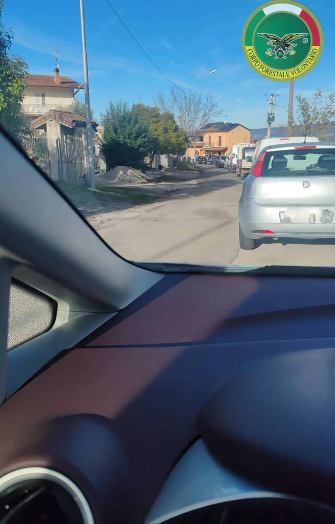 Filiano, disagi dopo la chiusura del ponte di Meccadinardo - Basilicata