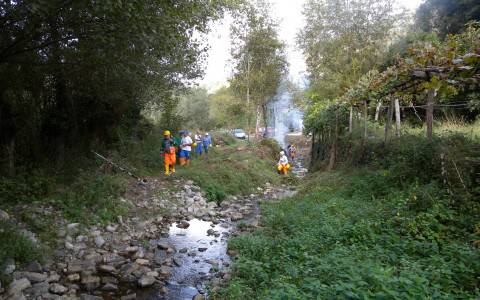 Nei cantieri forestali “mancanza di regole e rispetto” - Basilicata