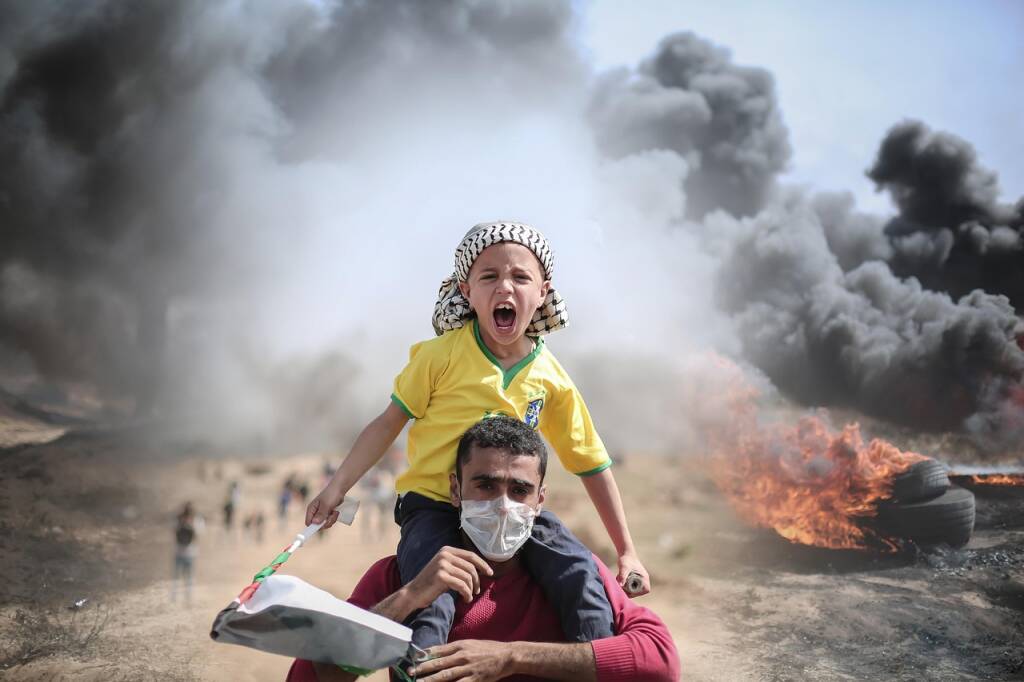 Immagine del post 10388 - Basilicata Gaza, il genocidio e la vigliaccheria degli intellettuali - Basilicata