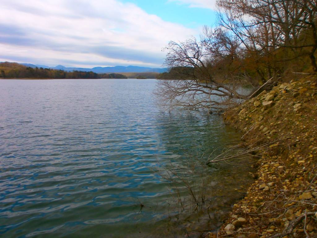 Immagine del post 13446 - Basilicata Crisi idrica in Basilicata, “responsabilità dirette degli enti che si occupano della governance dell’acqua” - Basilicata