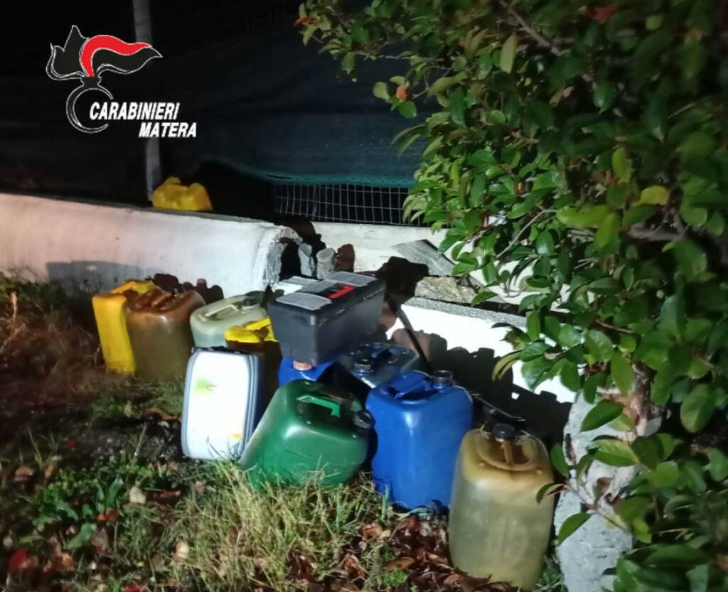 Immagine del post 3237 - Basilicata Furti in due aziende, due uomini arrestati a Metaponto - Basilicata