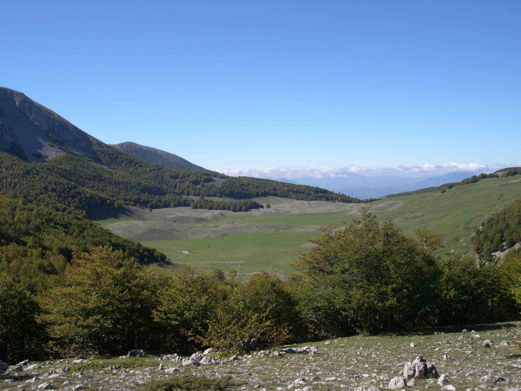 Il Parco del Pollino si chiami anche dei Monti dell’Orsomarso e del Monte Alpi - Basilicata