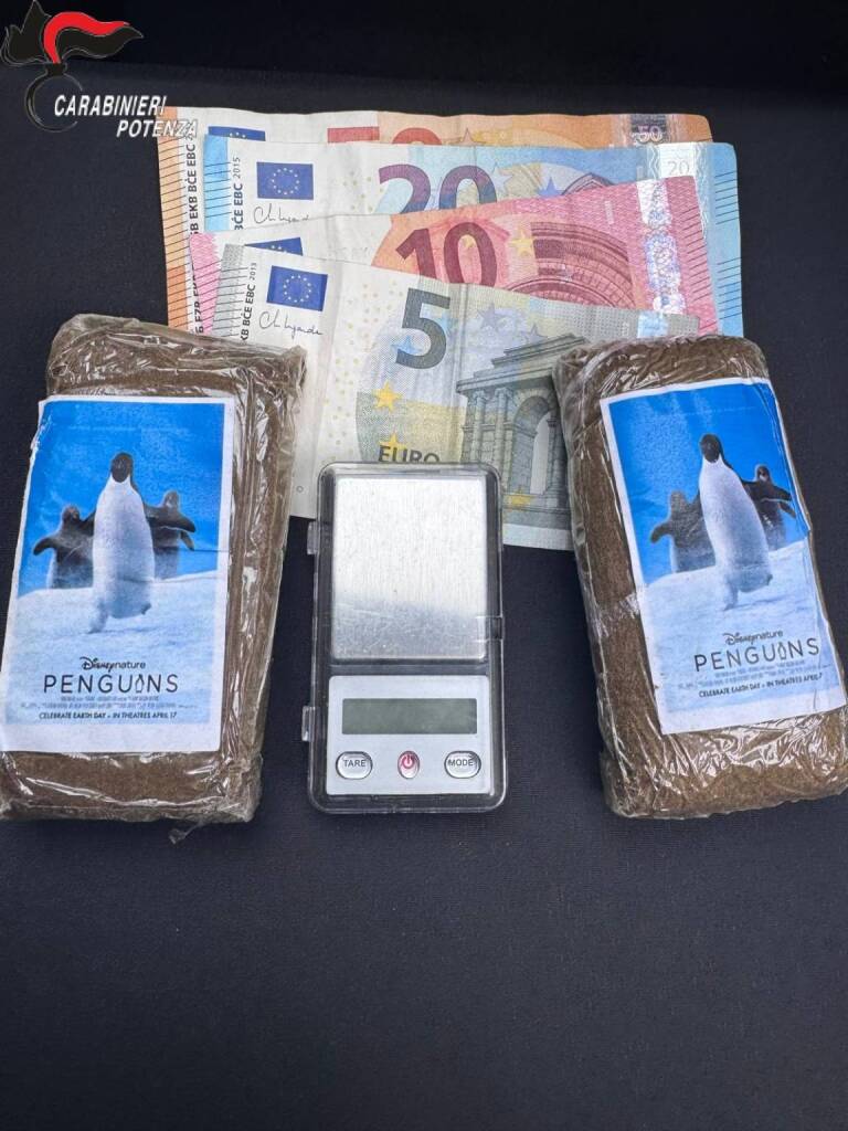 Potenza, droga: arrestato un 32enne - Basilicata