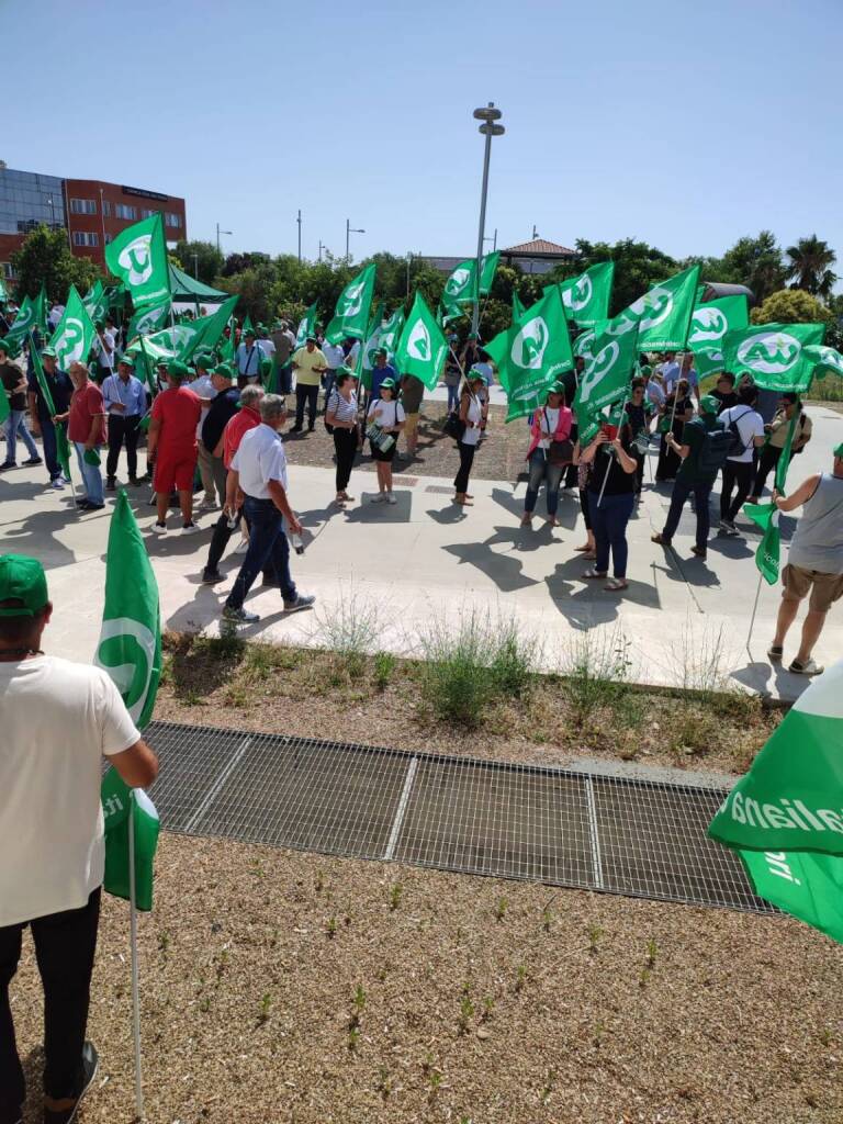 Immagine del post 6836 - Basilicata Cia-Agricoltori: “in dieci anni le quotazioni del grano duro sempre le stesse” - Basilicata