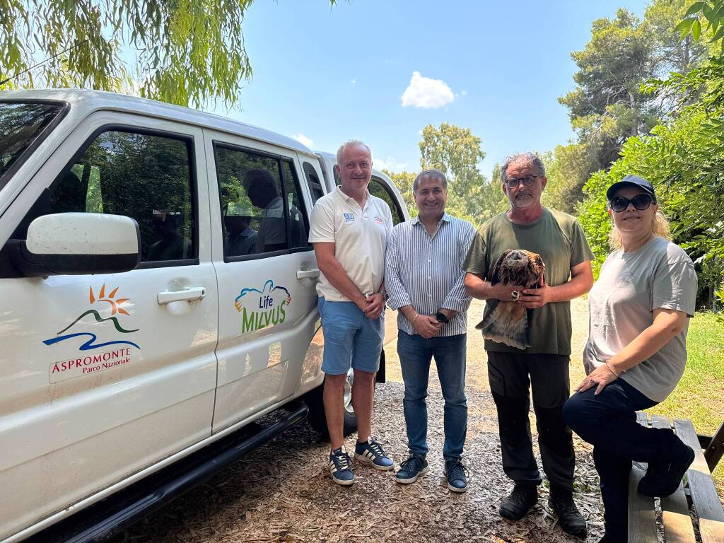Biodiversità, Parco della Murgia Materana e Parco dell’Aspromonte insieme per la tutela del nibbio reale - Basilicata
