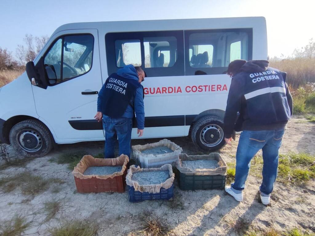 Immagine del post 3381 - Basilicata Costa jonica: la Polizia Marittima sequestra due tonnellate di novellame - Basilicata