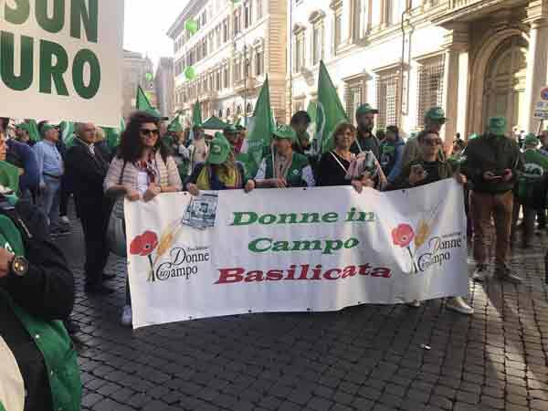 Immagine del post 5308 - Basilicata Imprese agricole femminili sono le grandi assenti da fondi e misure - Basilicata