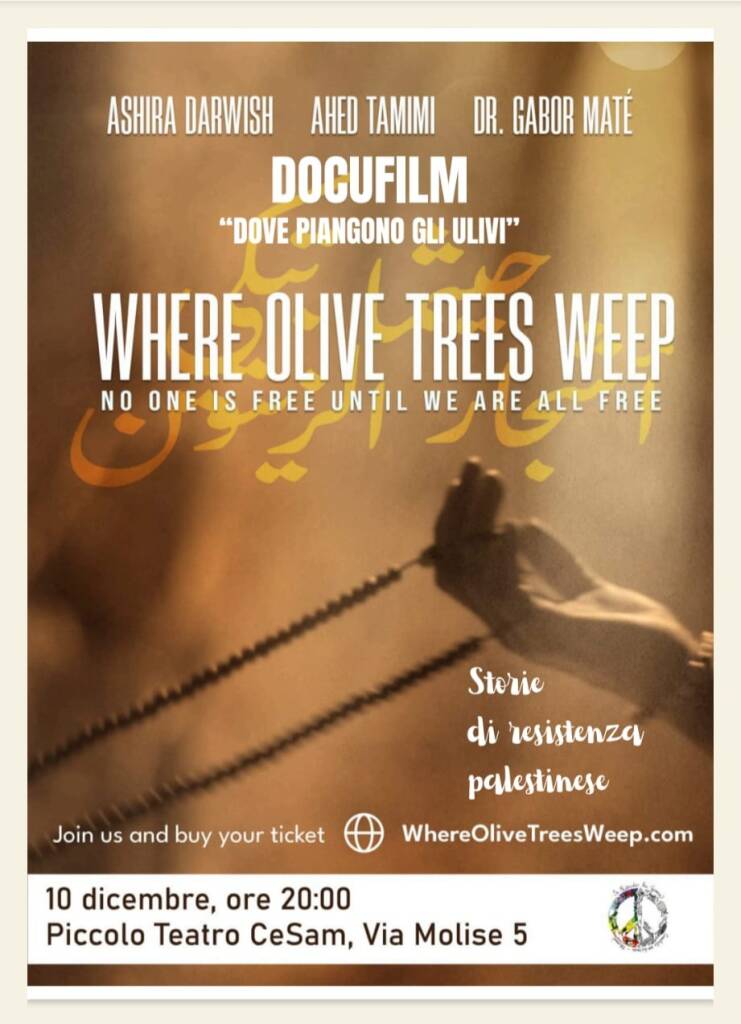 Dove piangono gli ulivi, a Potenza un docufilm per la Palestina - Basilicata