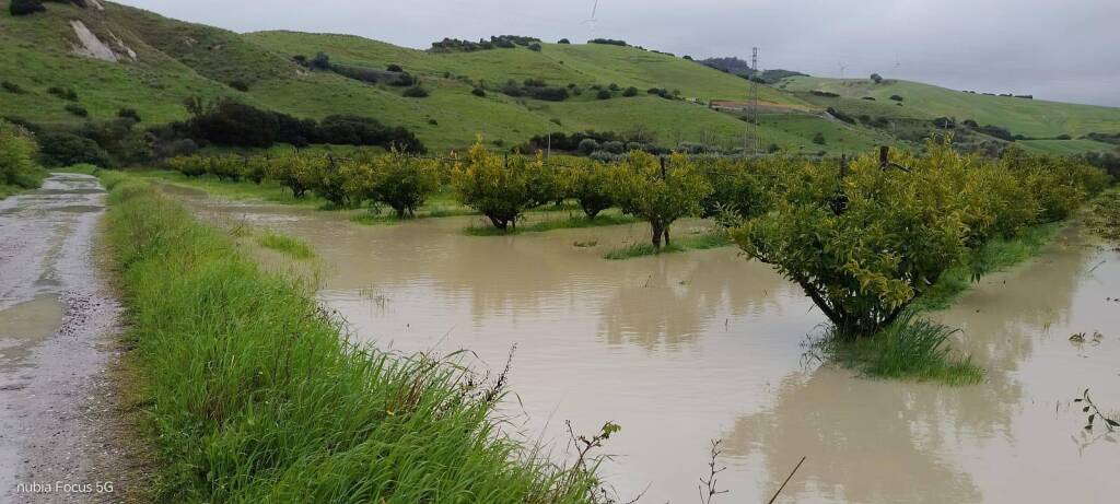 Maltempo e danni, convocato il Tavolo Verde - Basilicata