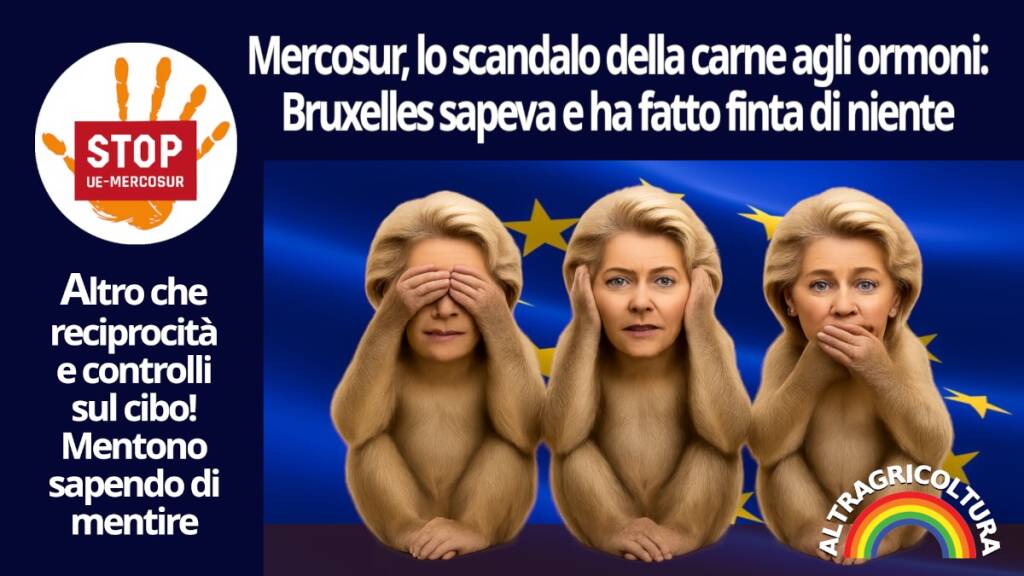 Carne agli ormoni dal Mercosur: “Bruxelles sapeva e ha taciuto” - Basilicata