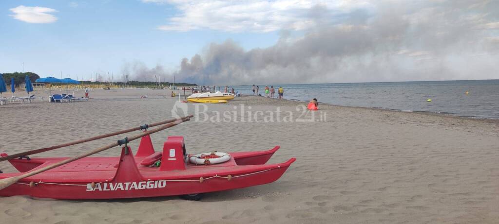 Metaponto, in fiamme la pineta - Basilicata
