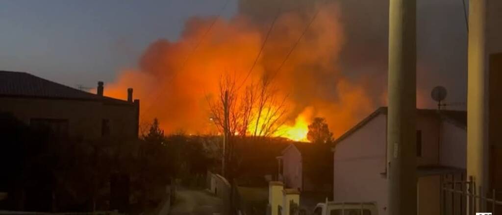 Immagine del post 3555 - Basilicata Incendio ex Pamafi Maratea, Europa Verde Basilicata: “Urgente un piano di riqualificazione dell’area” - Basilicata