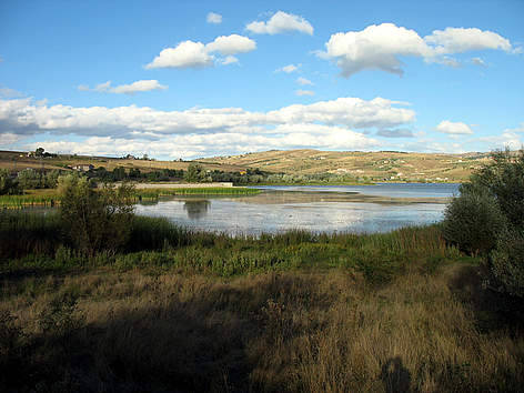 Immagine del post 9468 - Basilicata Il Lago di Pignola, Wwf: “un bene sottratto alla comunità” - Basilicata