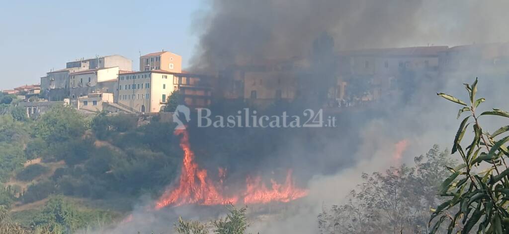 La Basilicata brucia…e la Regione? Boh! - Basilicata