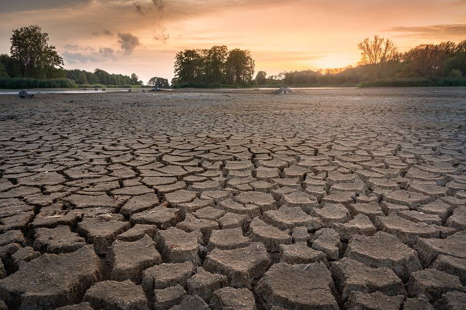 Immagine del post 13693 - Basilicata Crisi idrica: mentre la politica attende, gli agricoltori programmano - Basilicata