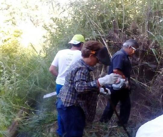 Forestazione, Usb Basilicata chiede un incontro a Cicala - Basilicata