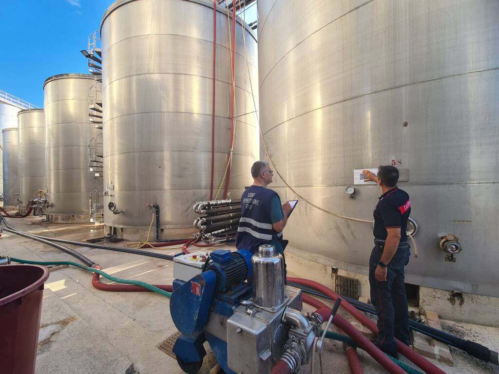 Vino, sequestrati 200 quintali di Aglianico e denunciati due produttori - Basilicata