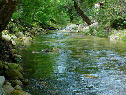 Immagine del post 18216 - Basilicata Al di là del fiume: paesaggi lucani sui corsi d’acqua - Basilicata