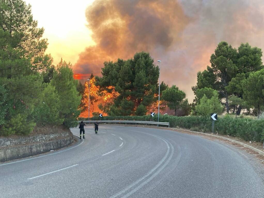 Immagine del post 21613 - Basilicata Basilicata, presentato il Piano anticendio 2026 - Basilicata