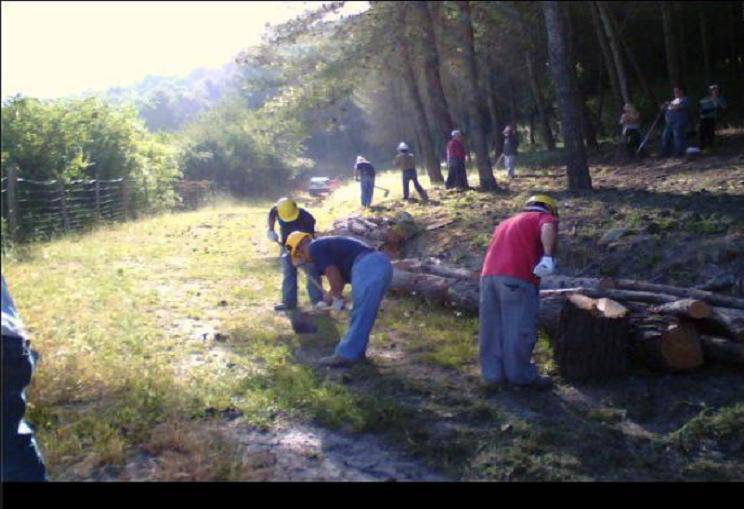 Immagine del post 19210 - Basilicata Tavolo sulla forestazione alla Regione Basilicata: la critica del sindacato - Basilicata