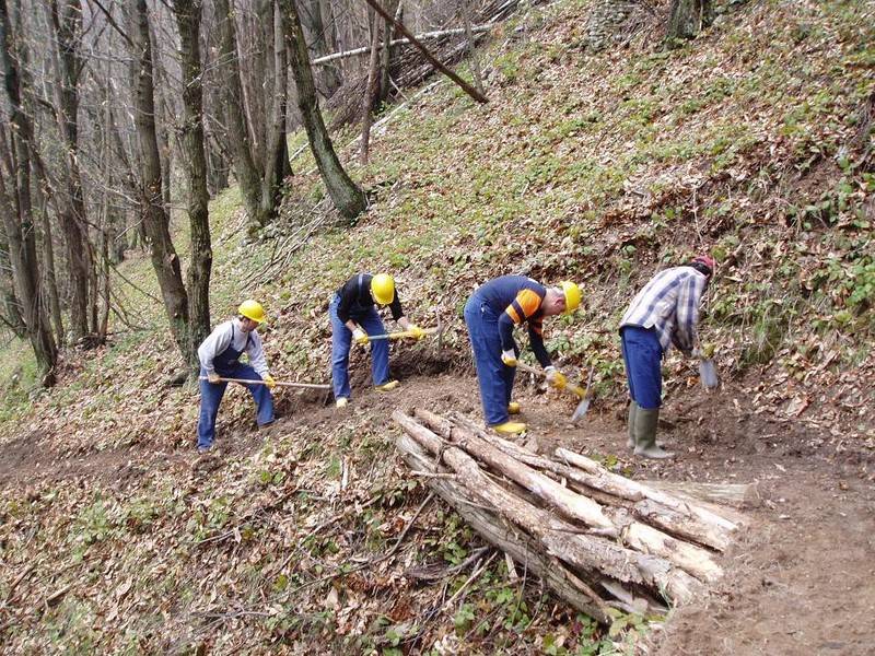 Forestazione, Bardi convoca il tavolo tecnico - Basilicata