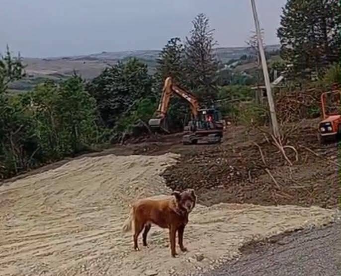 Immagine del post 10708 - Basilicata Viadotto Tiera, Galella: Strada alternativa è un’illusione in brecciolino - Basilicata