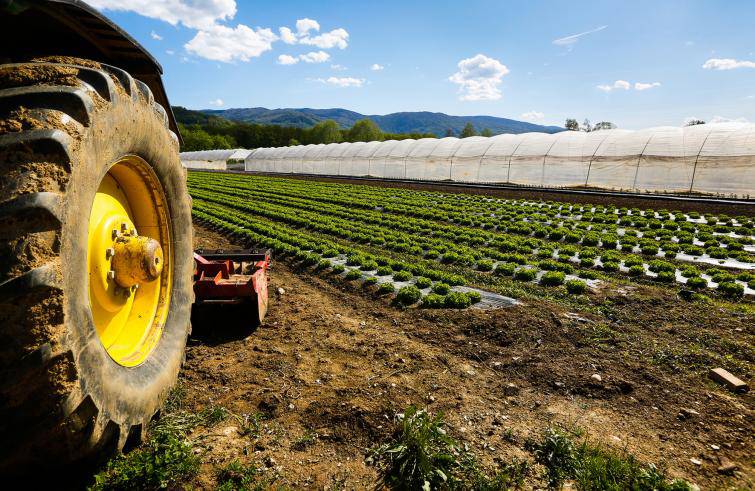 Agricoltura lucana colpita da crisi senza precedenti, le proposte di Copagri - Basilicata
