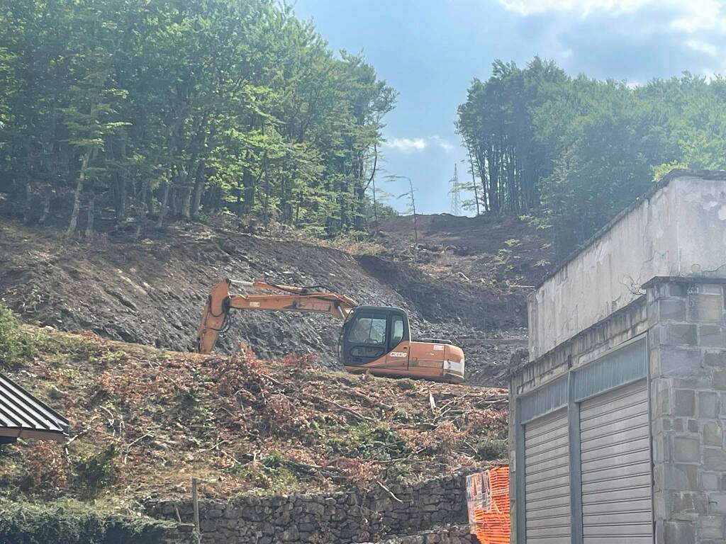 Immagine del post 23895 - Basilicata Monte Pierfaone, WWF Basilicata: “Non si può distruggere una faggeta protetta in nome della sua valorizzazione” - Basilicata