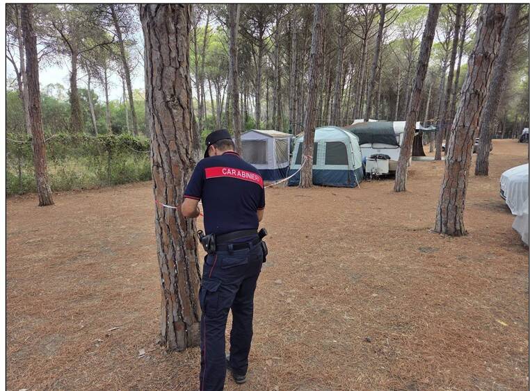 Immagine del post 9690 - Basilicata Metaponto, pineta di proprietà del demanio dello Stato occupata abusivamente da un campeggio - Basilicata