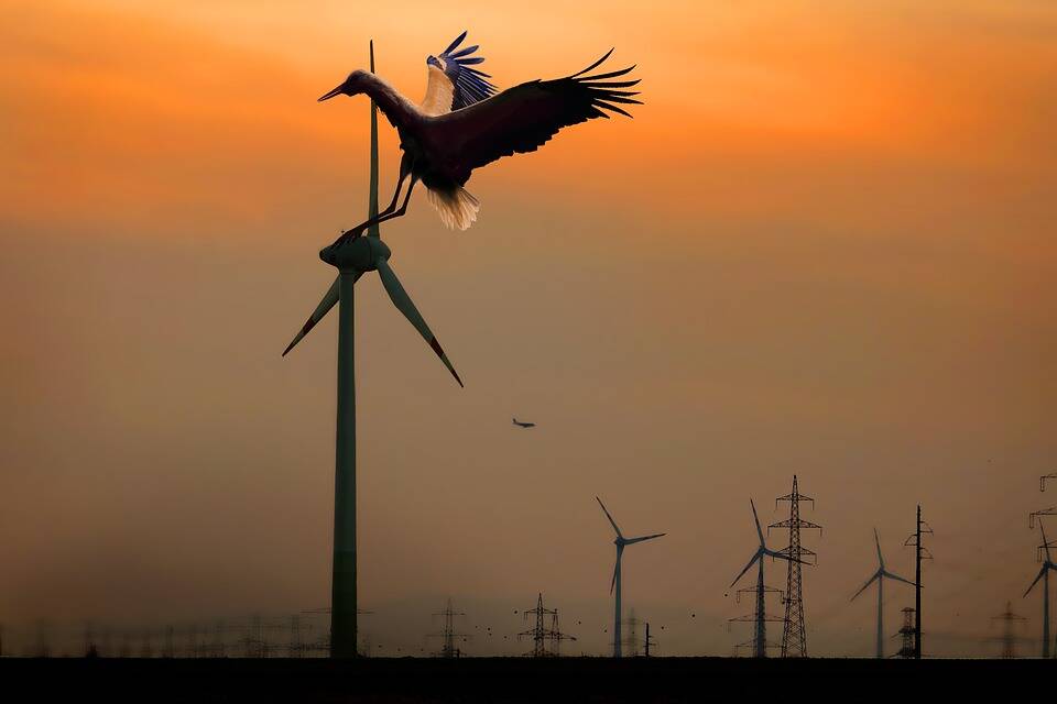 Transizione energetica, cresce il fronte dei territori: oltre 500 adesioni all’appello al Governo - Basilicata