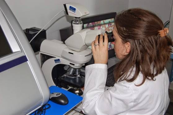 Immagine del post 6054 - Basilicata Tumore della prostata: arriva all’Irccs Crob di Rionero la terapia di precisione con radioligandi - Basilicata